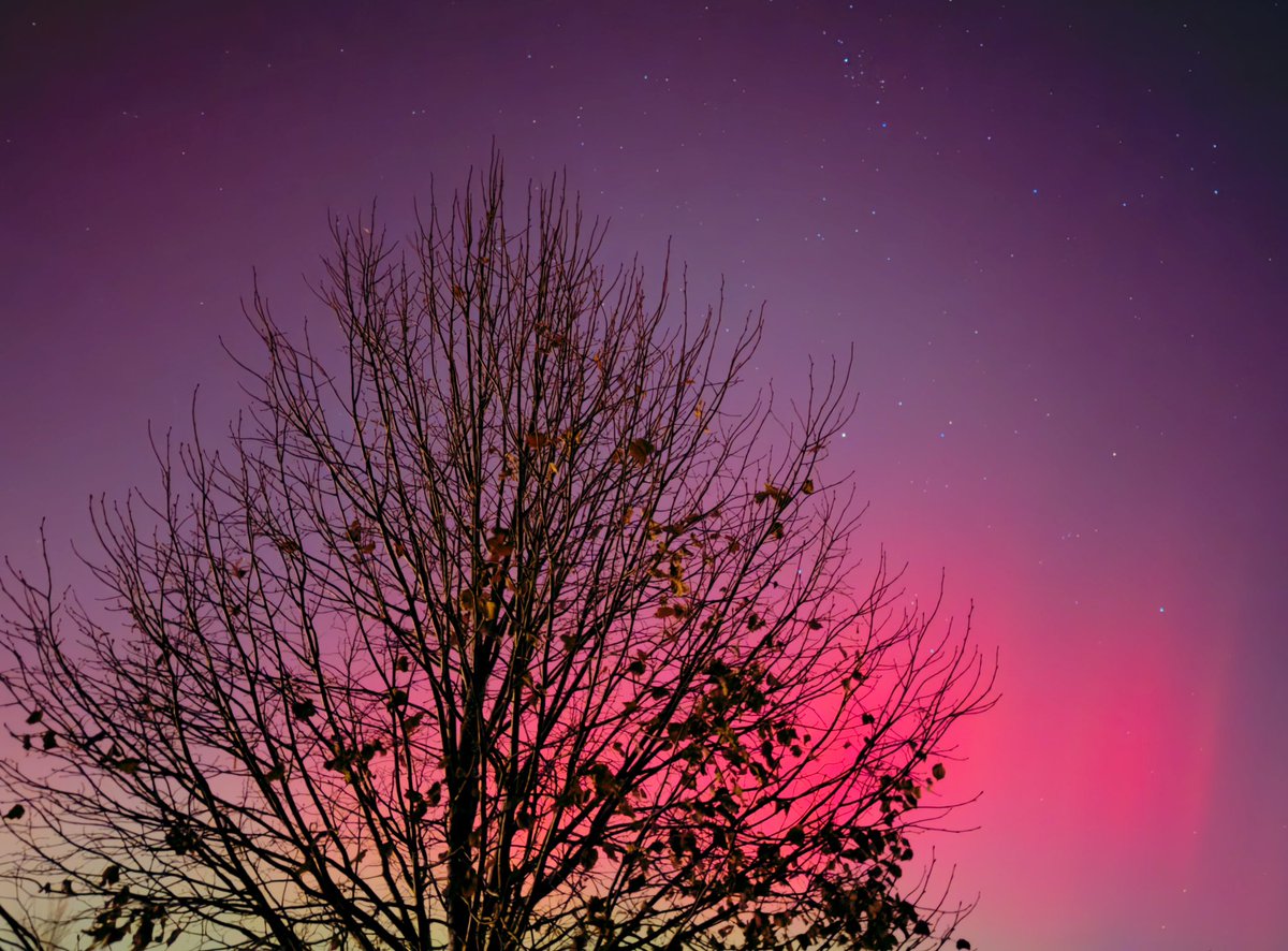 No wonder crypto is down tonight