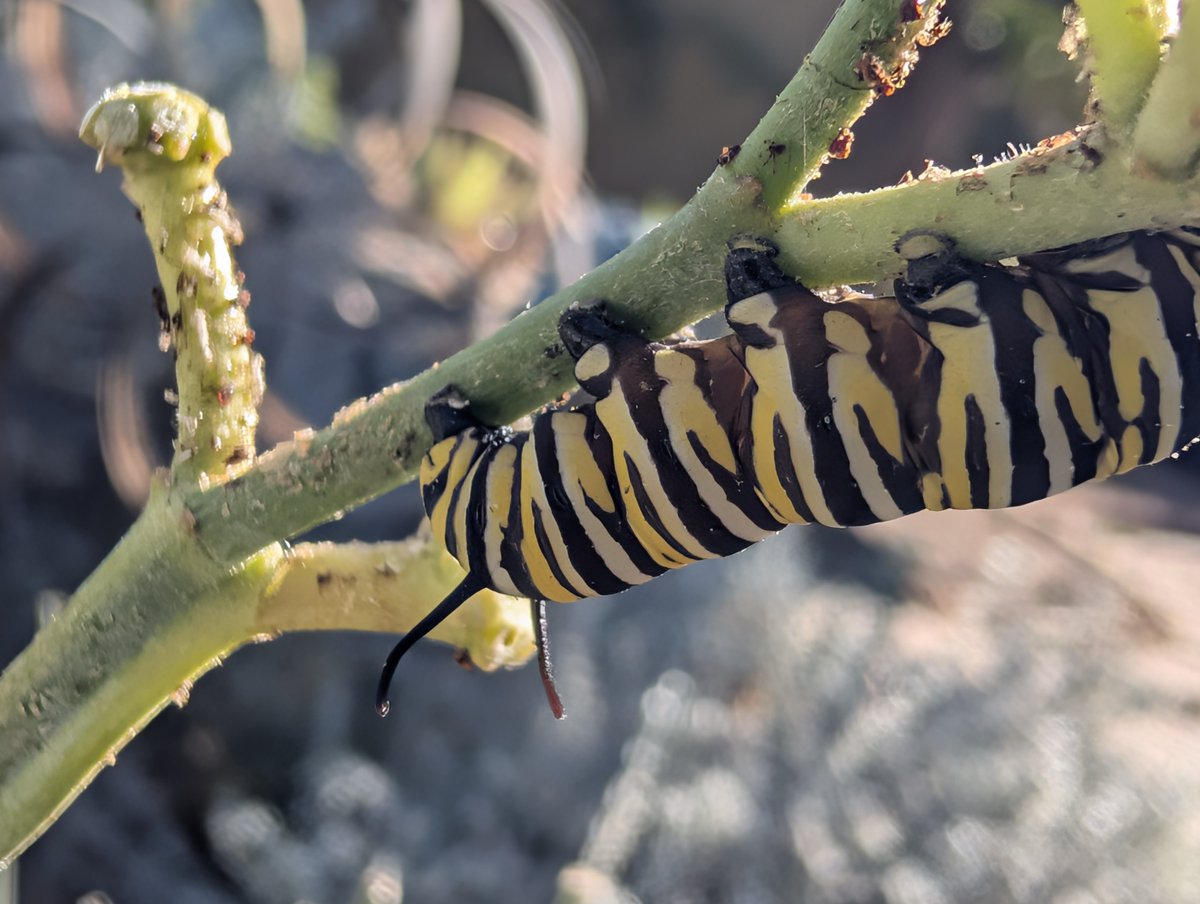 niloxy's tweet image. 