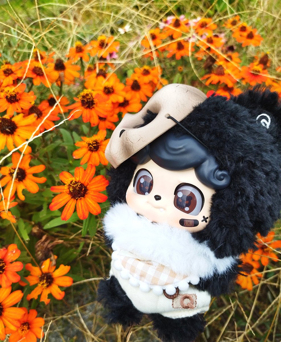UbgRhNjT6y86538's tweet photo. 百日草とベガちゃん💀ジーっと見てる…かわいい👀
黒もじゃもじゃにオレンジがとてもお似合い✨️
#Qkid https://t.co/7eyMUSRDhc