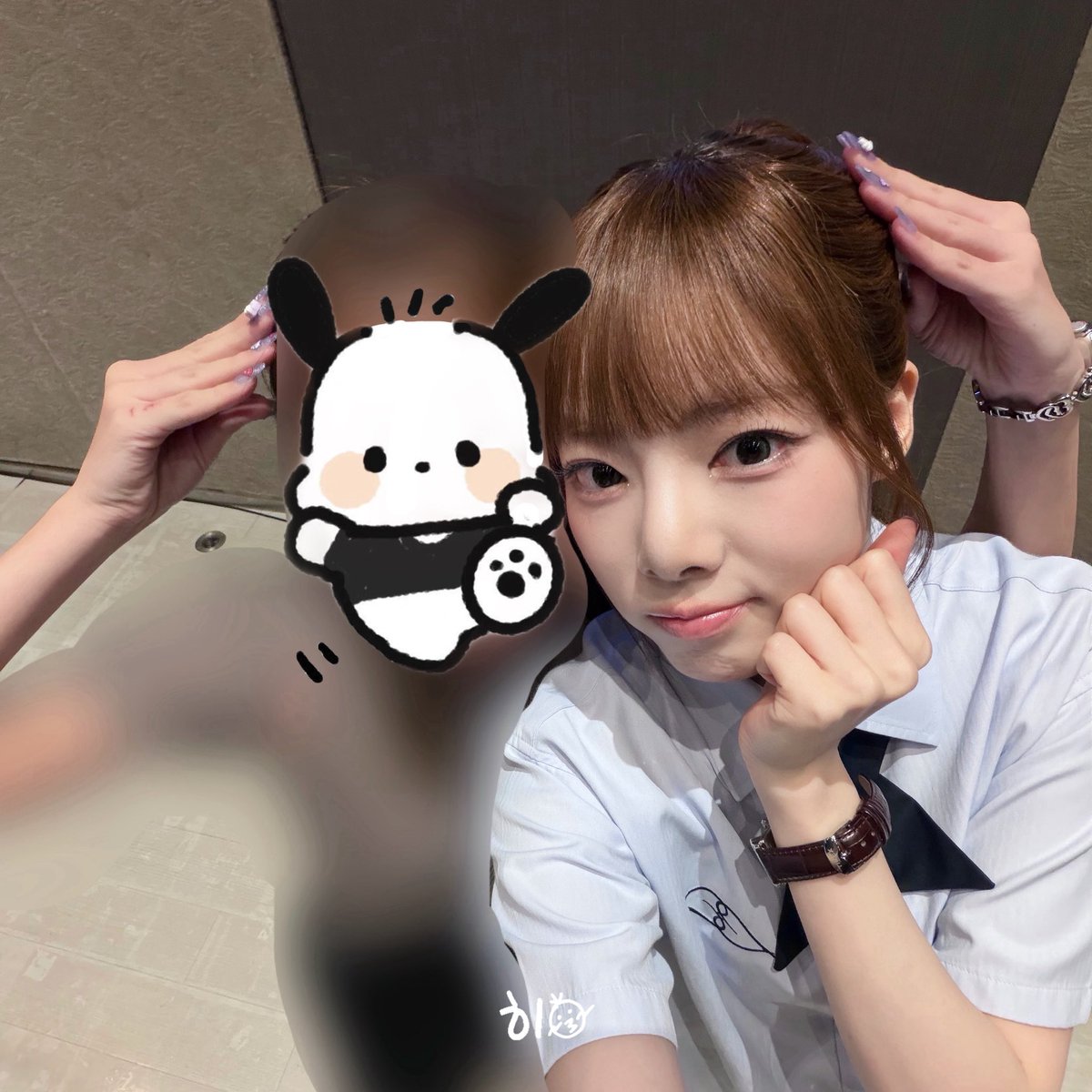ng_n03's tweet photo. 포챠코🧏🏻🤍 https://t.co/kBW8qffGw6