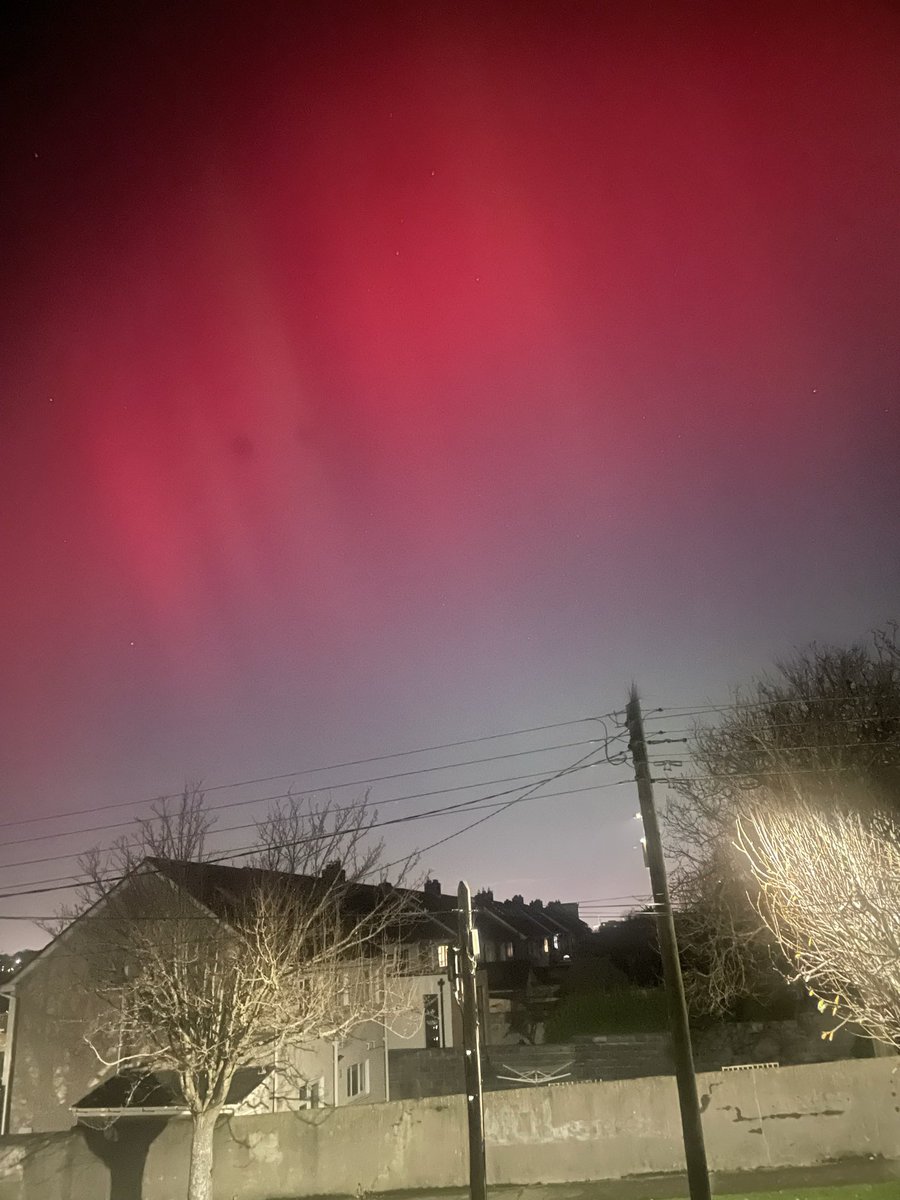 Irene Enright tweet media