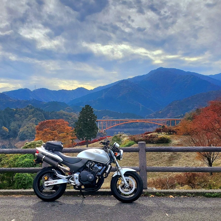 MsLABO6's tweet image. エンジン始動、アイドリング、吹け上がり良好！健康状態、ヨシ！
道志の秋を見ながら、引き続き健康チェック☺️
#ホーネット250