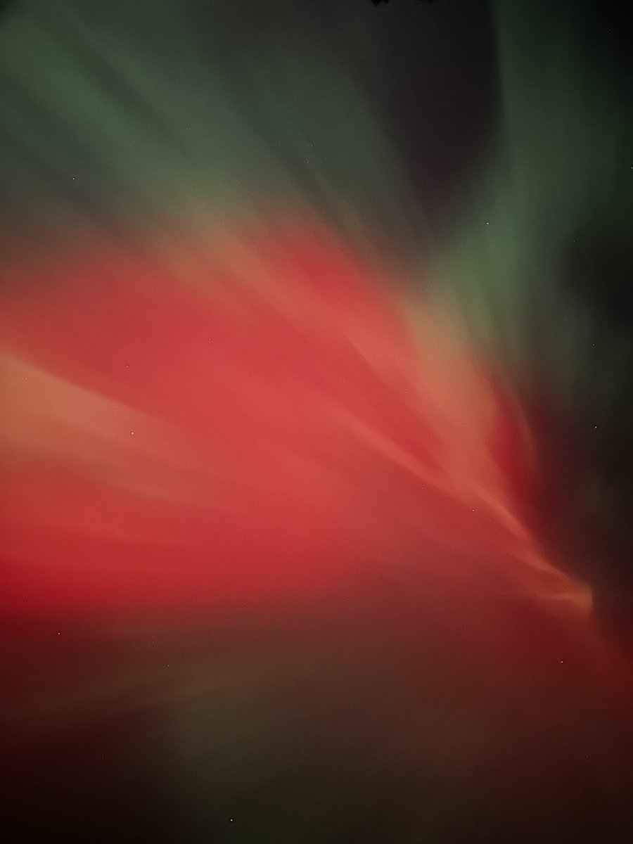 I came home to Minnesota just in time to see the northern lights for the very first time in my life