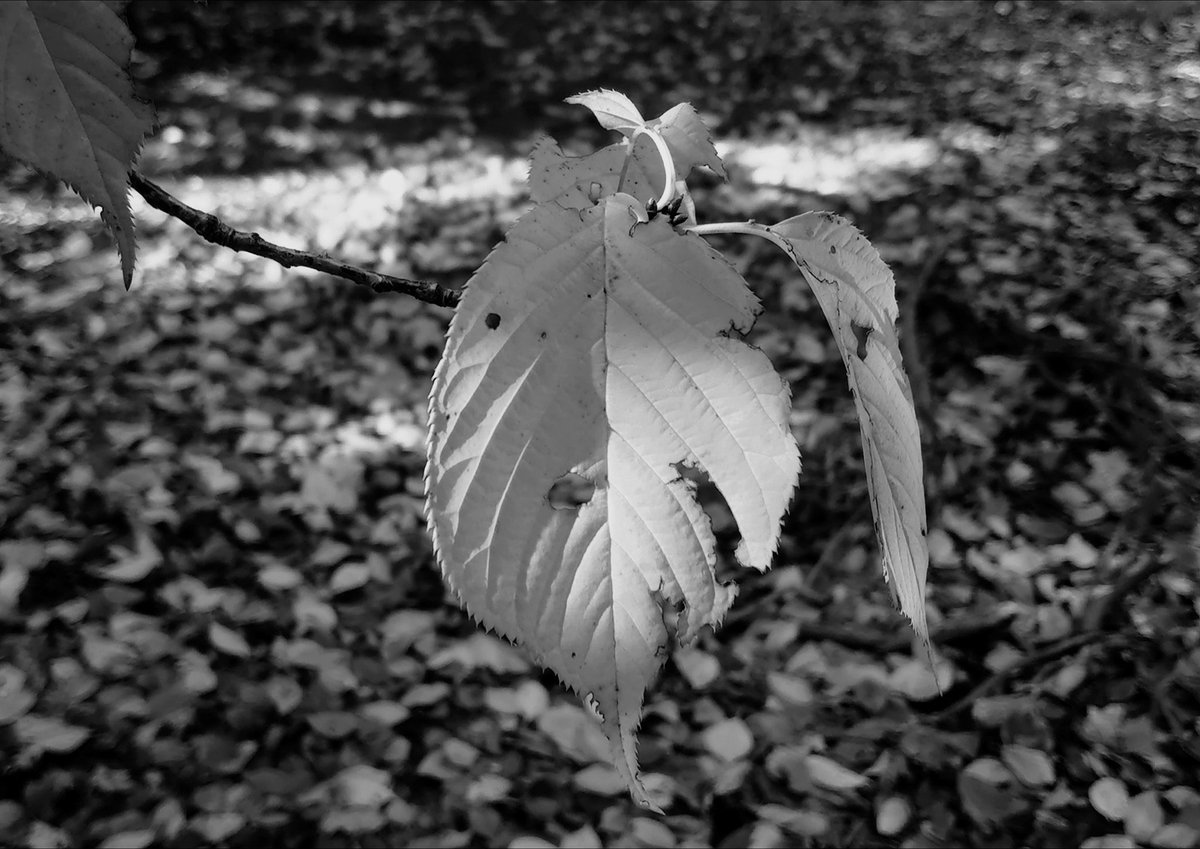 残り10分で昼休憩も終り、
そろそろ作業時間が近づいたから
戻るとしようかな😔💬