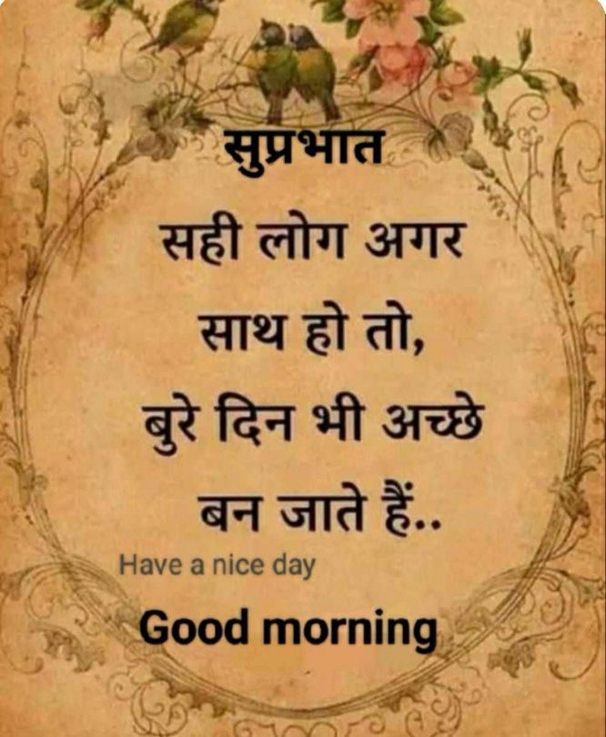 Very Good Morning To All Friends ☀️😊🌞