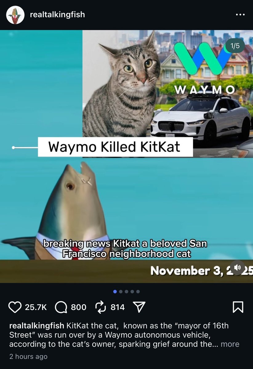 Tradoorr tweet media