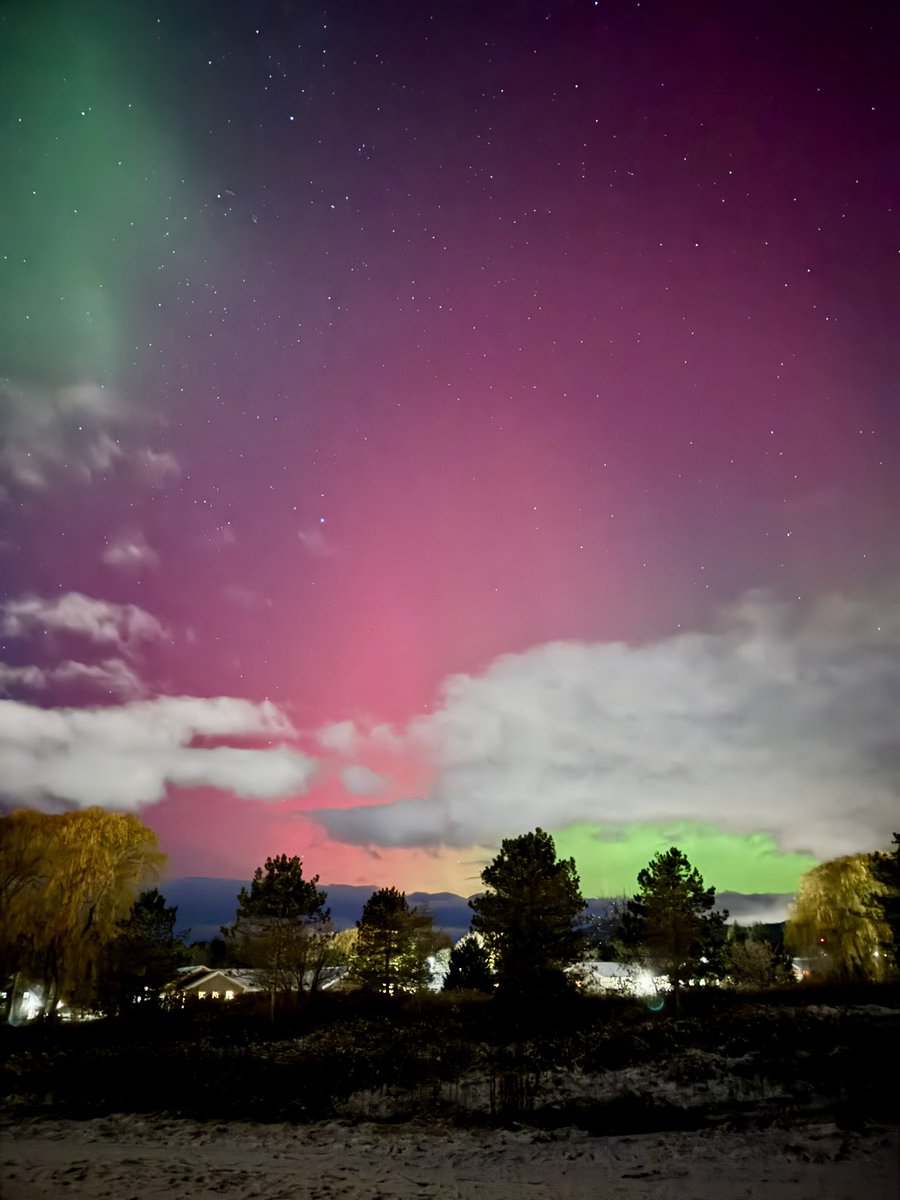 Joseph Telesco tweet media