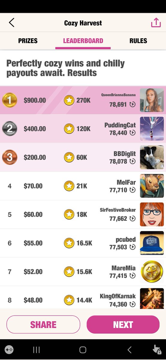 Maebatsu tweet media