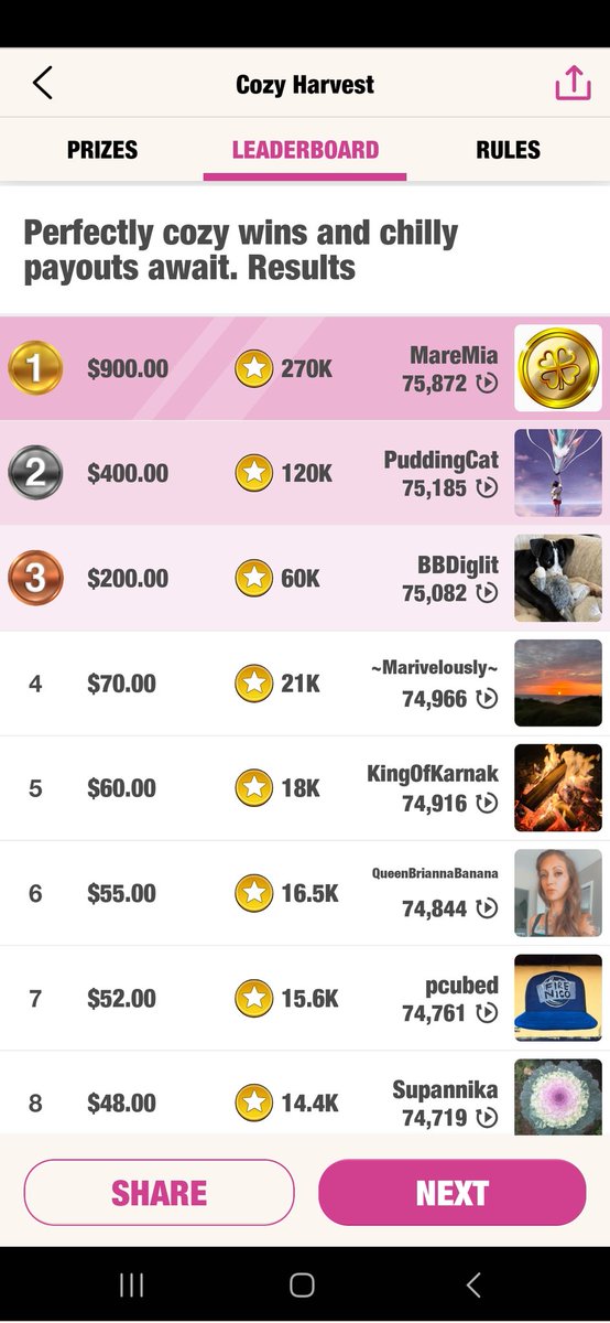 Maebatsu tweet media