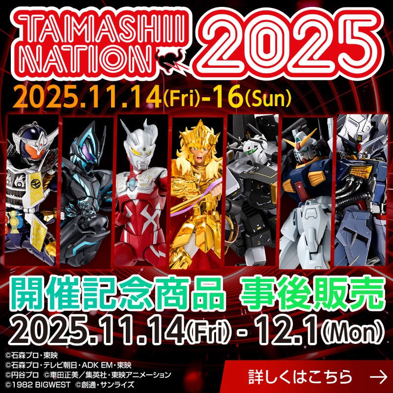 伝票跡なし TAMASHII NATION 2025 開催記念商品 4体セット ⬛️🟥TAMASHII NATION 2025⬛️🟥 ⬛️🟥⬛️🟥開催記念商品