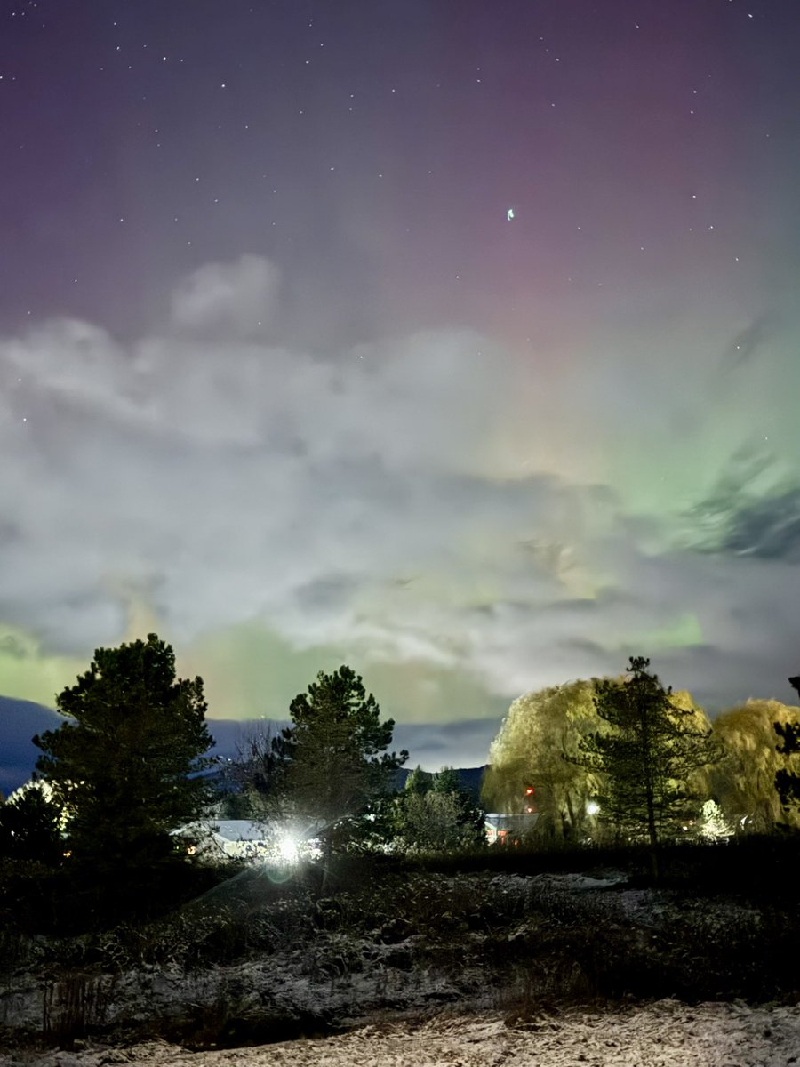 Joseph Telesco tweet media