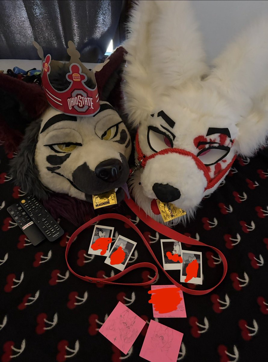 Find someone who will pose your fur suits and write you love letters❤️