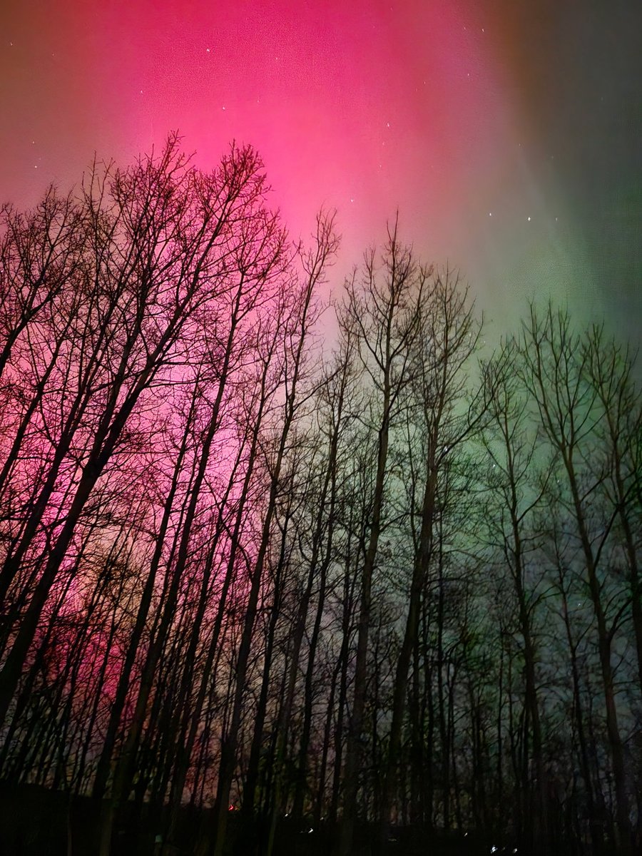 Sigurd the Mighty tweet media