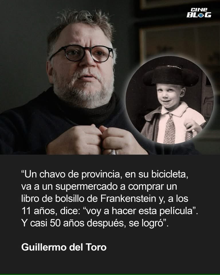 alejandra carvajal glez tweet media