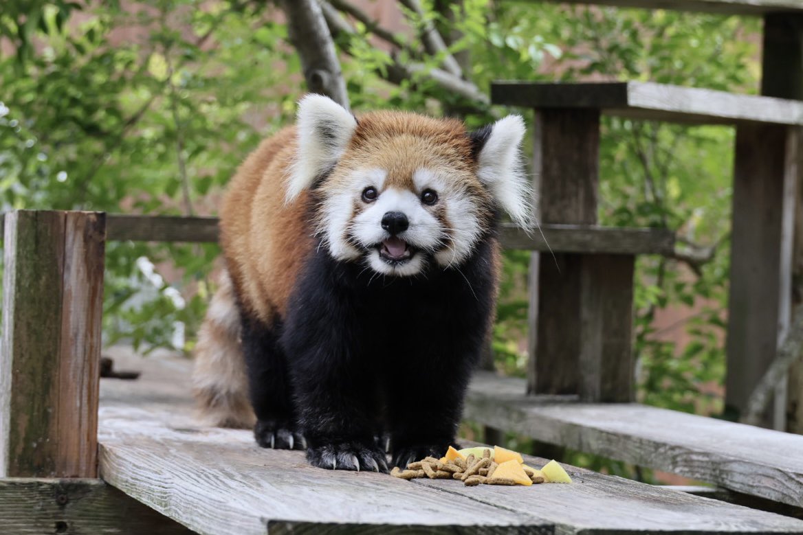 なかっち (@opera_dance) / Posts / X