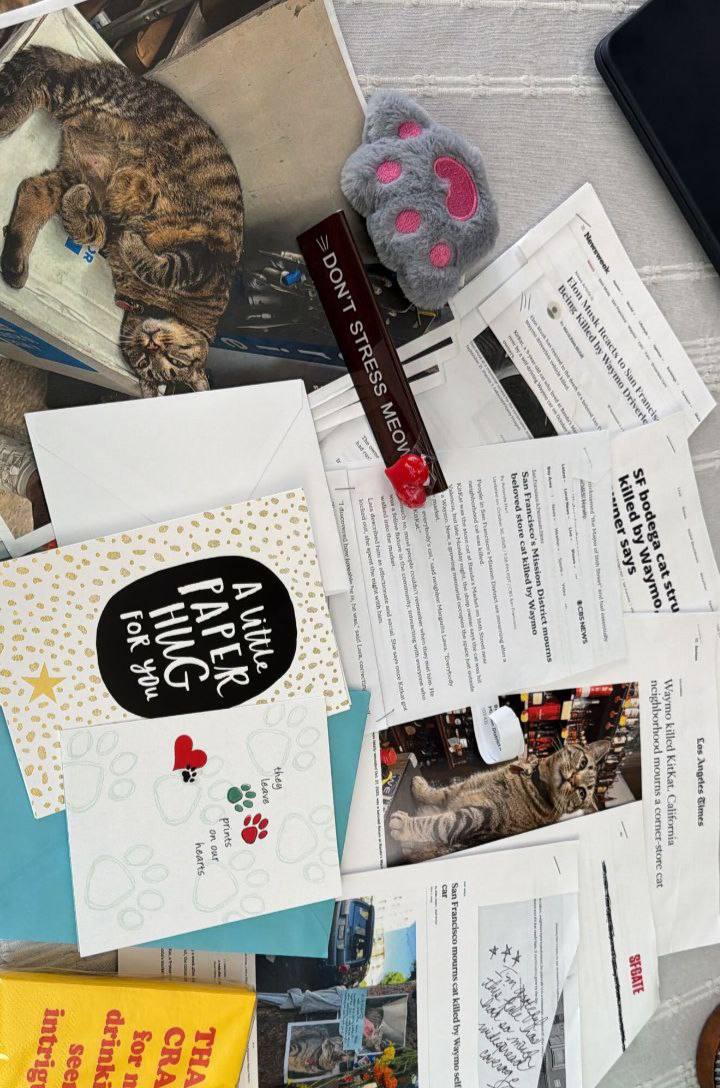 Daniel Zeidan 😼 tweet media