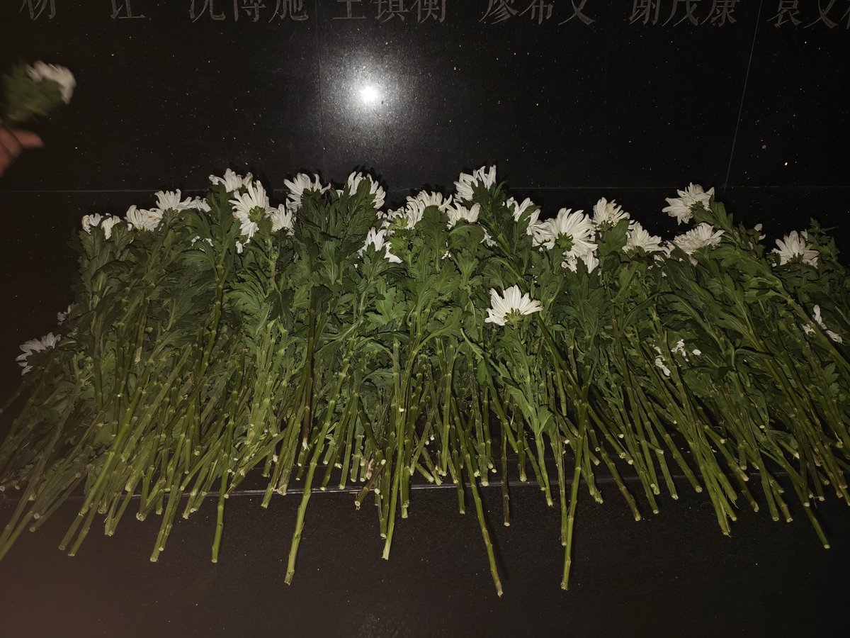 (💙,🧡）mumusky.base.eth tweet media