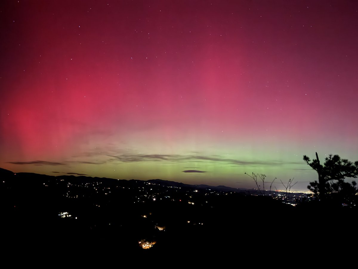 Zack Sierzega tweet media