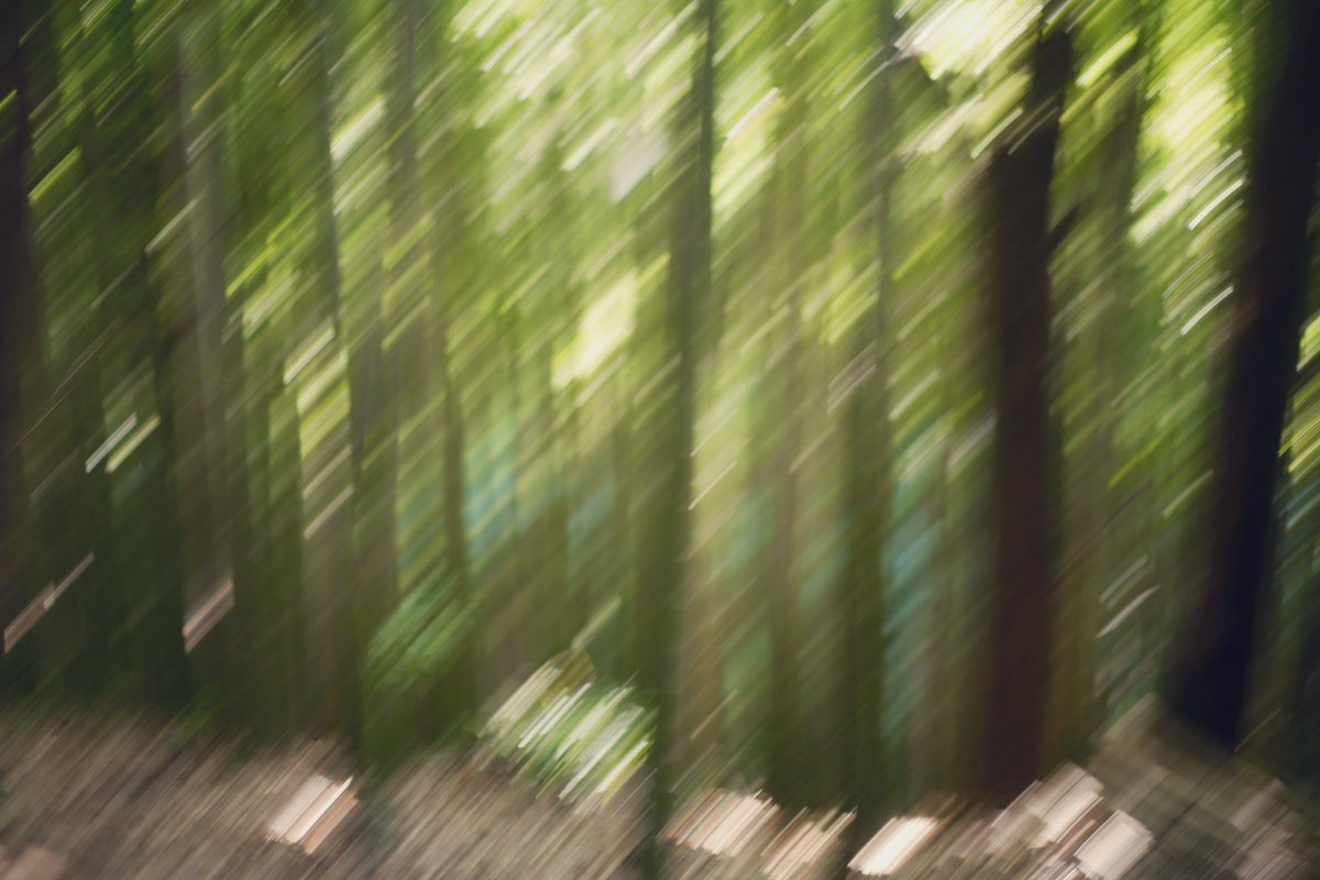 本日11.12(水)個展初日を迎えます。
大阪JR京橋駅南口向かい
GalleryRoom305にて
14-20時(最終入場19:30)
最終日のみ12-18時(同17:30)

11.15(土)16(日)終日在廊いたします。

ゆっくりお楽しみ下さい。
ご感想を残してくださいましたら幸甚です。

画像は展示作品ではありません。
#巡借景