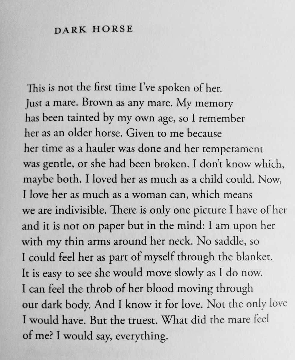 buy FENESTRATION tweet media