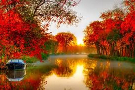 Goedemorgen allemaal!