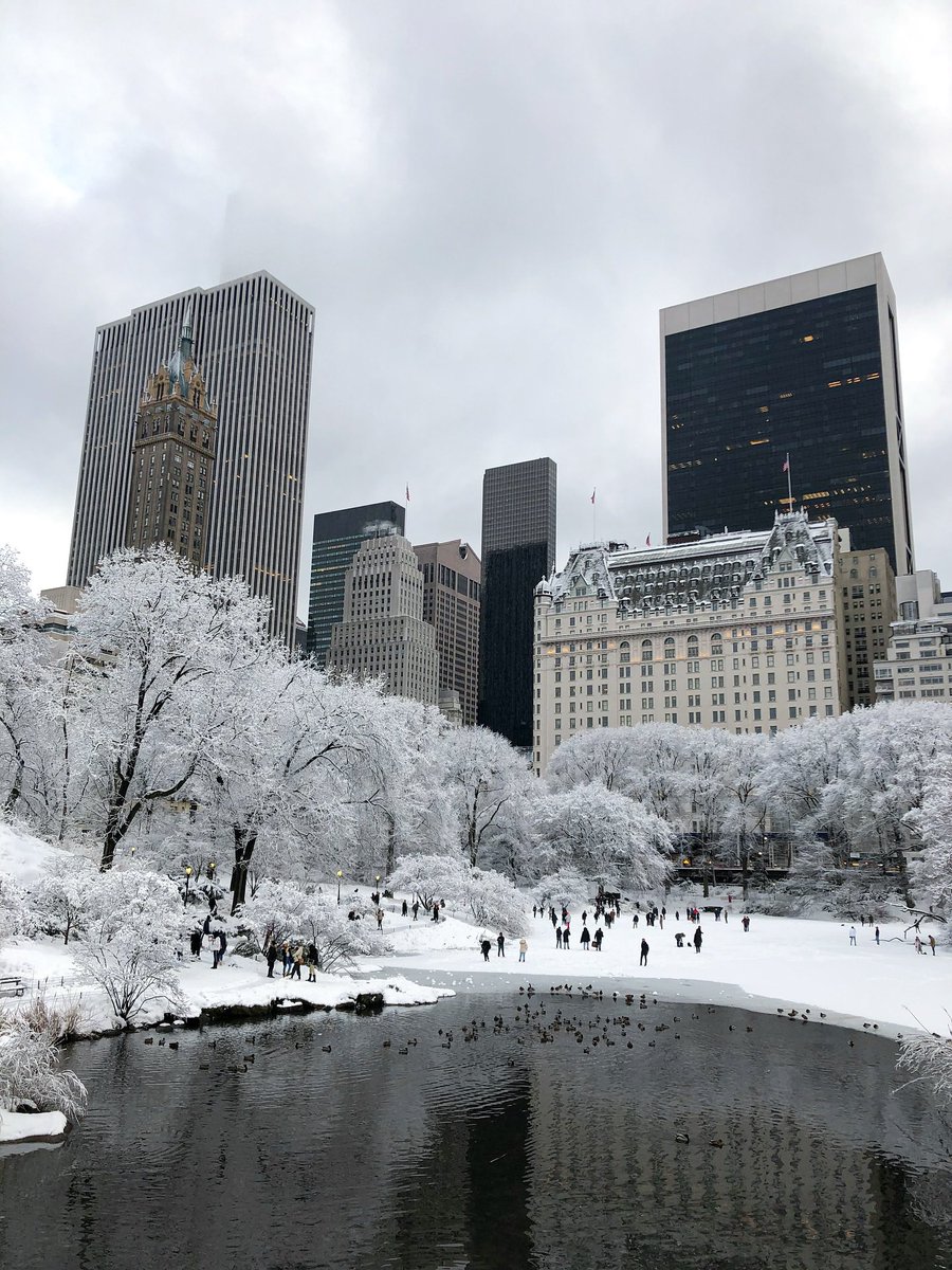 Pretty Cities tweet media