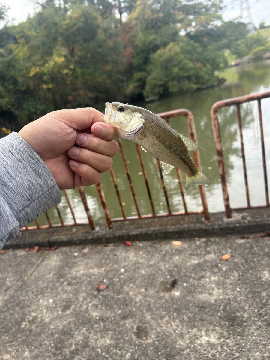 三 浦 (@mi0ura5844) / Posts / X