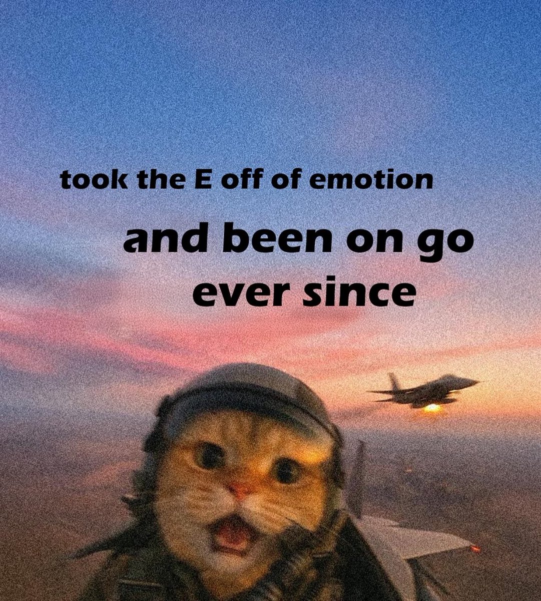 itsnotandy__'s tweet image. 