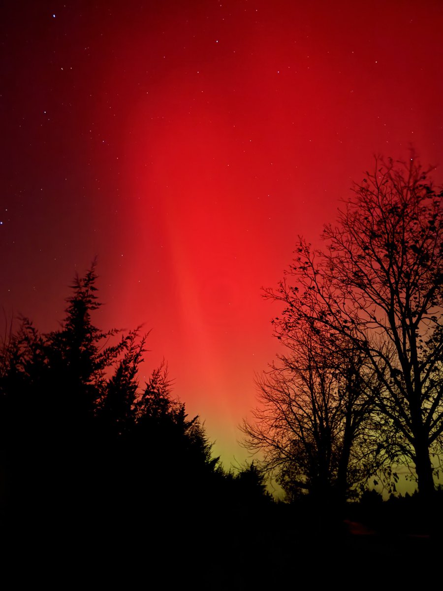 Greg Thompson tweet media