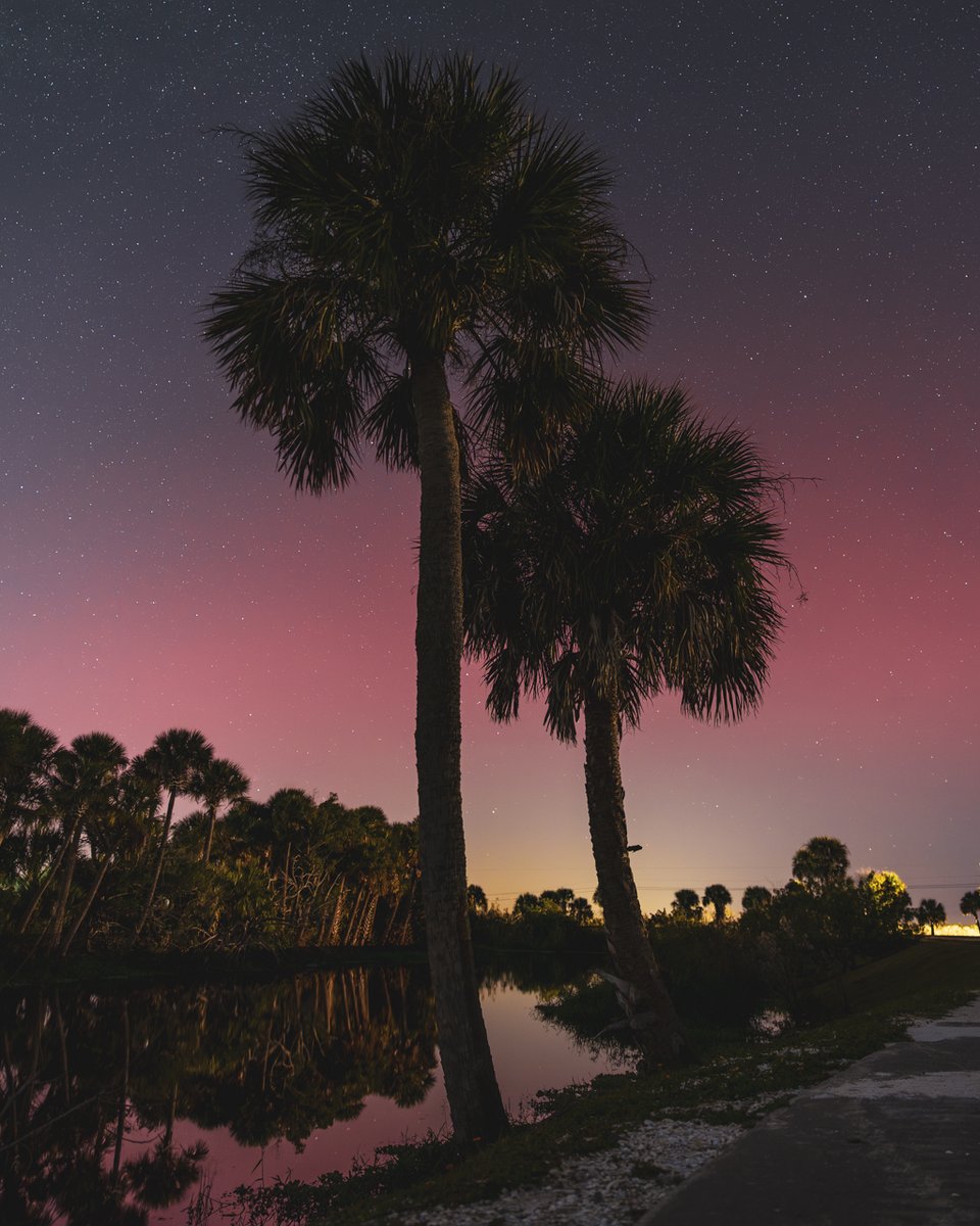 Max Evans tweet media