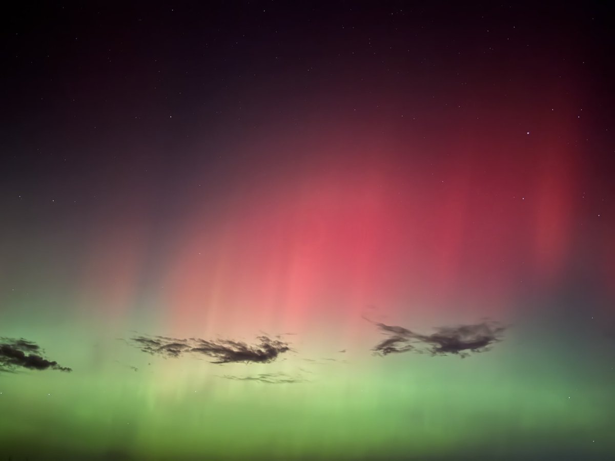 Greg Thompson tweet media