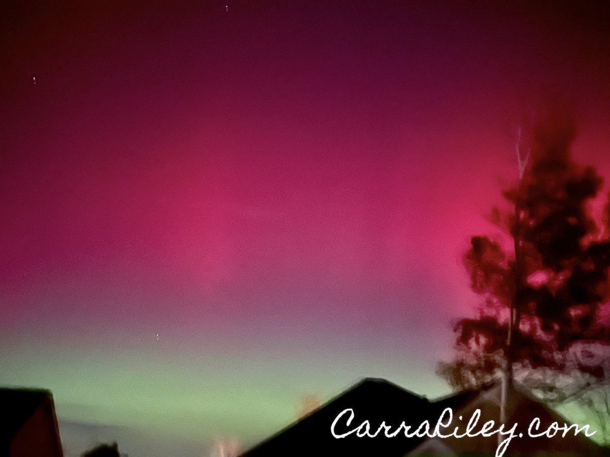 CarraRiley's tweet image. Visions can come true! 

Delighted to see the Aurora Borealis (Northern Lights) 11-11-25
In my backyard! 

They have been on my shot list for 10 years. 

Just added “more photography” to my vision board for 2026 today! 
#northernlights 

#auoraborealis

#visionboard