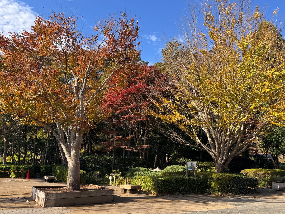 HKしょうぶえんです。 横須賀しょうぶ園 (@YokosukaSyoubu) / Posts / X