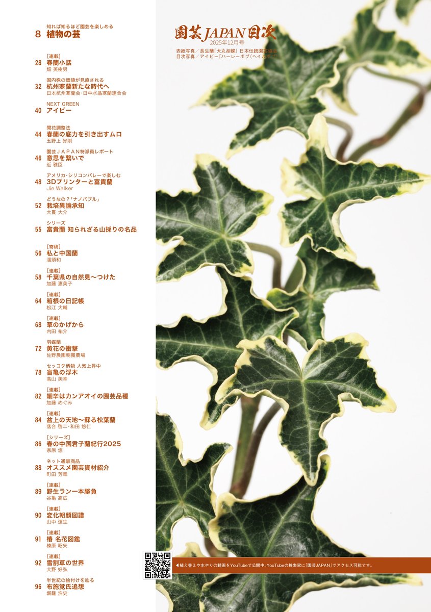 園芸JAPAN2025年12月号のお品書きです