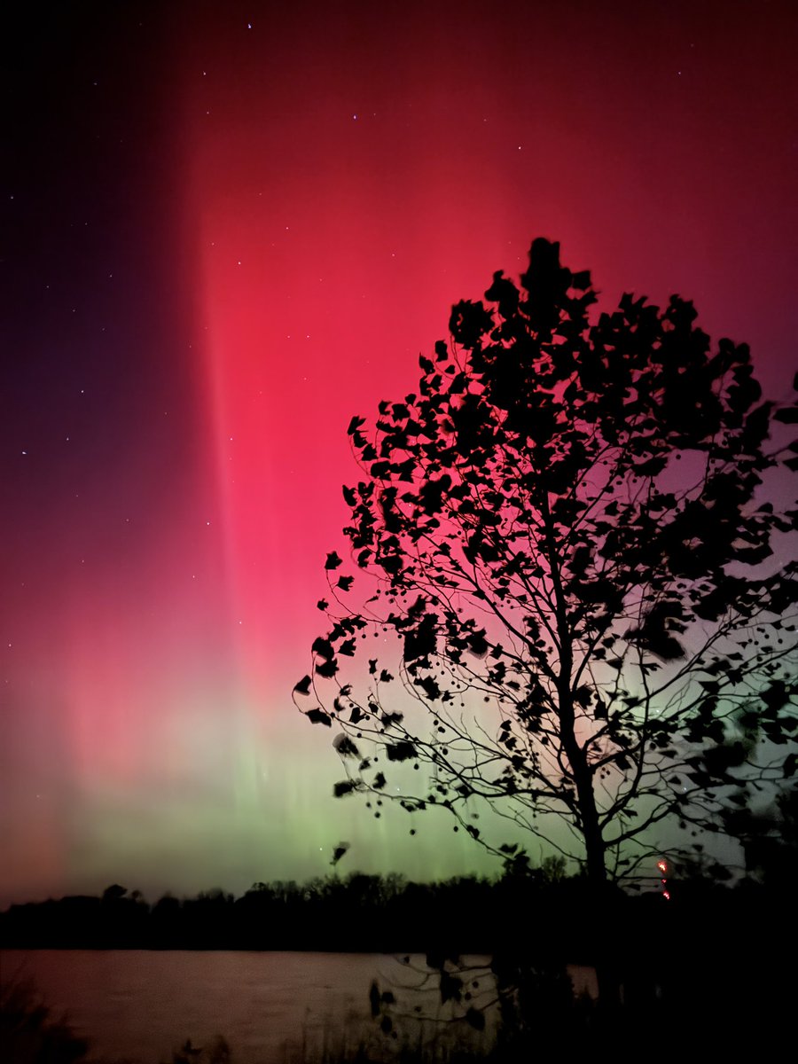 Joe Farrell tweet media