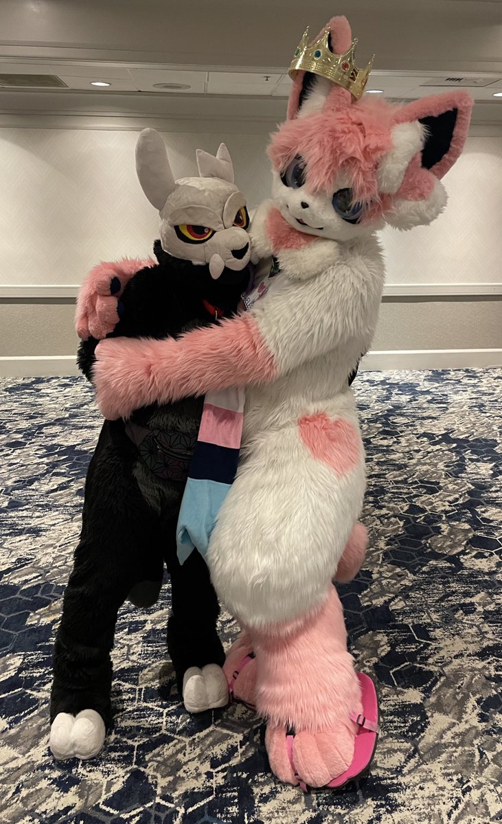 Vox Fox@Furlandia tweet media