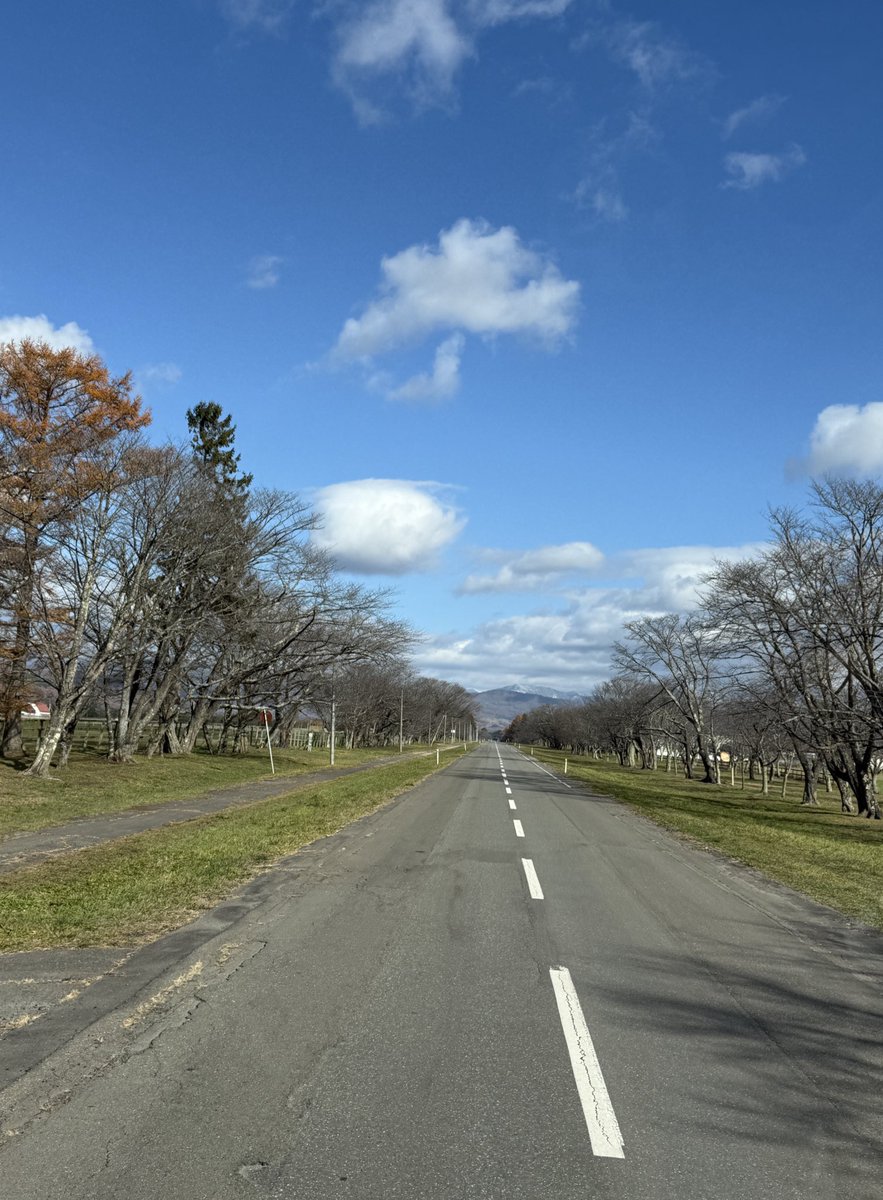 oumanobaketu's tweet image. 不受胎馬検査で静内に
内視鏡で子宮内のシストや内膜の状態、細菌検査をして来年のシーズンに備えます。JBBA種牡馬の申込みは始まってますし、もう来シーズンの話に💦
二十間道路、栗須さんは歩いてませんでしたw