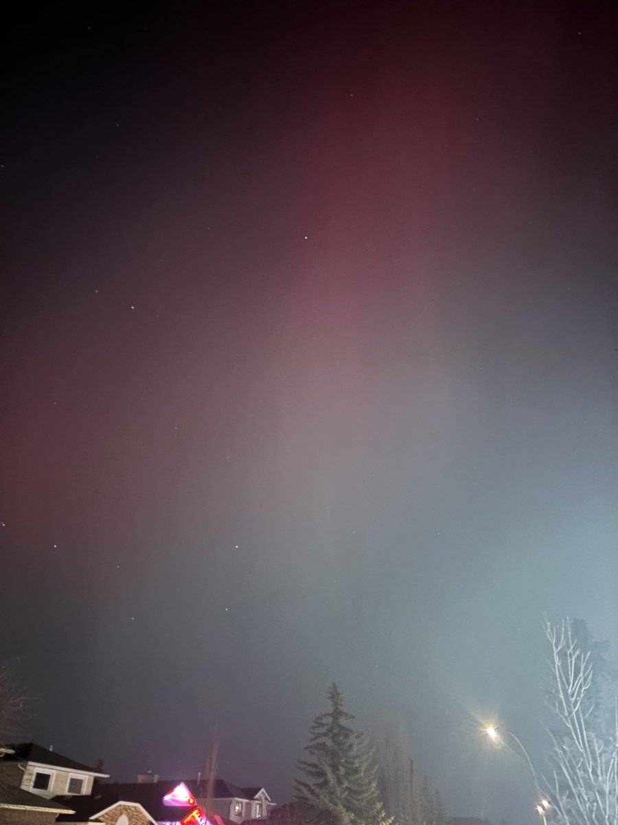 Cynthia Malycky tweet media