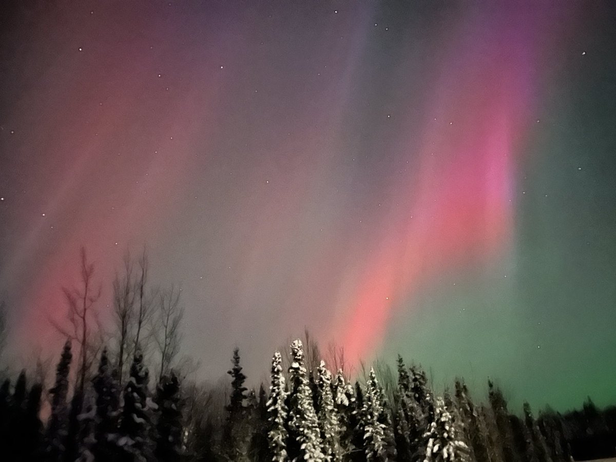 gomer2323's tweet image. Northern Lights rocking in Funny River #Alaska #OptOutside