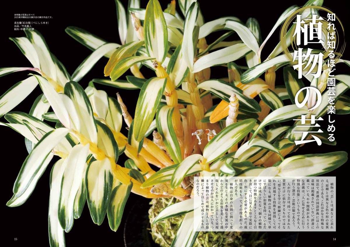 園芸JAPAN【毎月12日発売】 (@ENGEI_JAPAN) / Posts / X