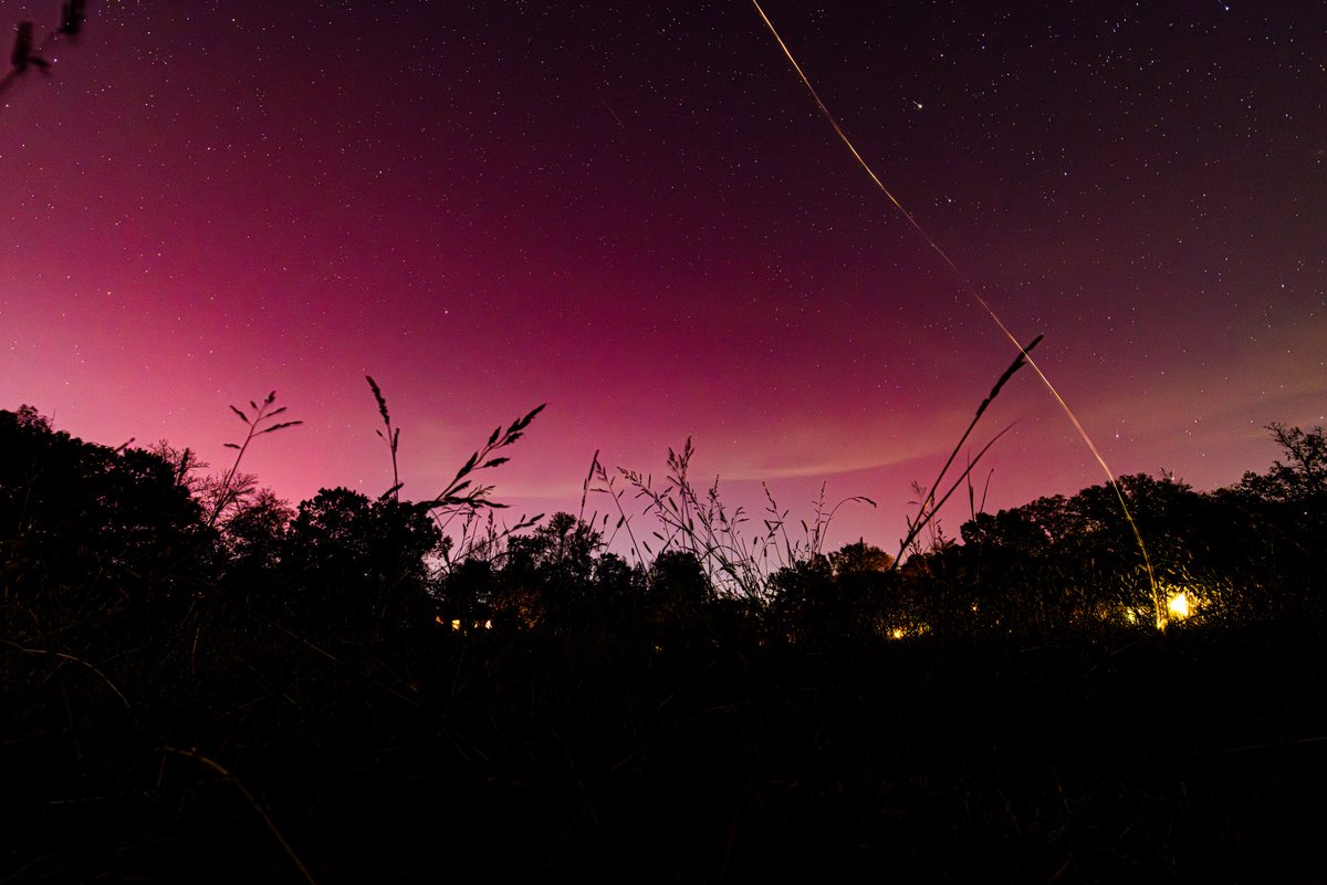 Rachel Callahan tweet media