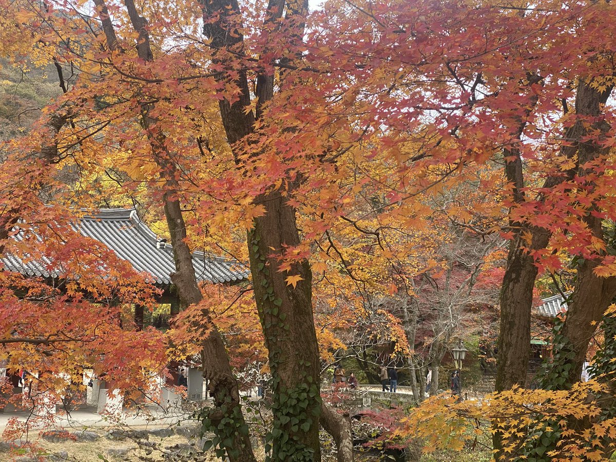 백양사, 전남 장성