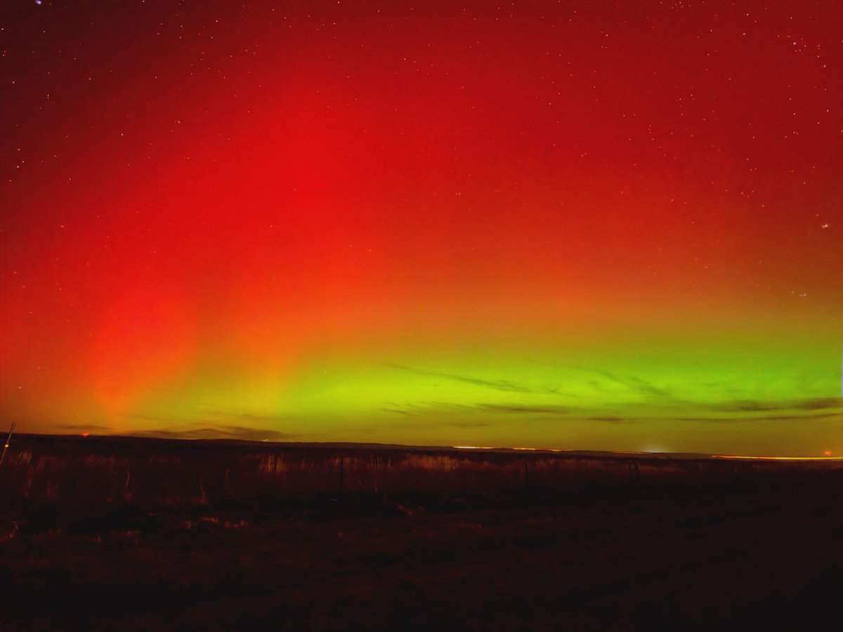 IMZLO-Zach tweet media