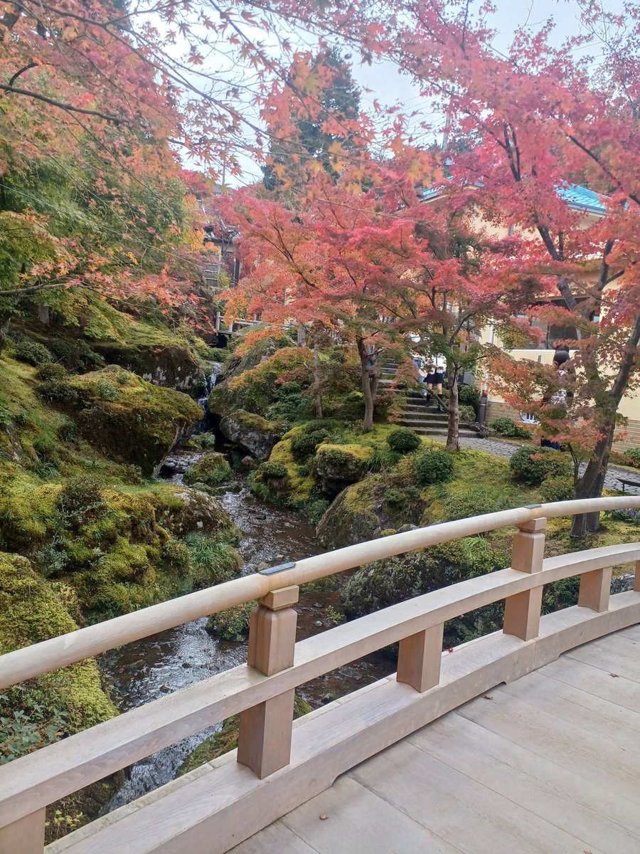 かおりん🏆⭐🏆⭐🏆️ (@kaorin_as) / Posts / X