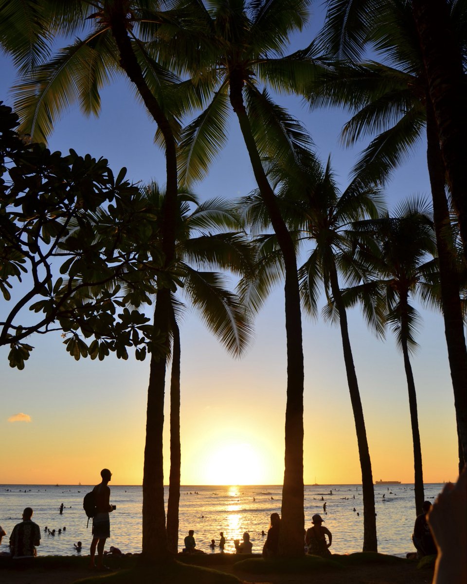 アロハセブン【公式】 (@aloha7inc) / Posts / X