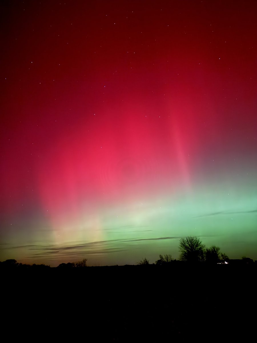 Jared Olson tweet media