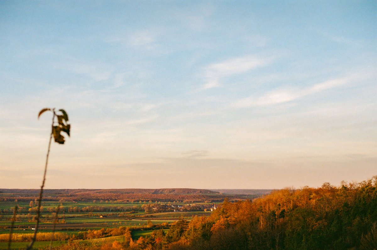llama reconnaissance team spotting an Apache