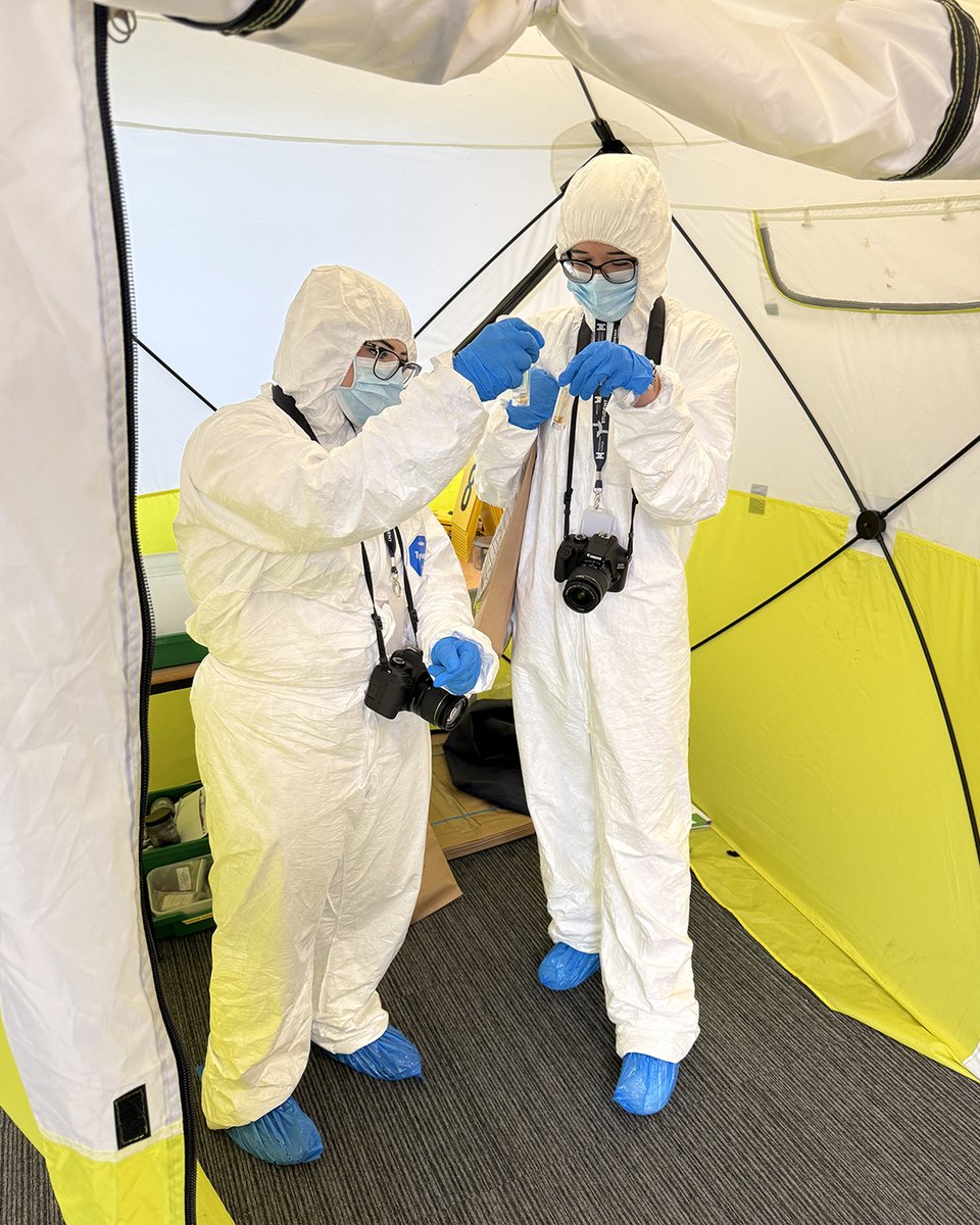 halesowencoll's tweet image. Our Level 3 Forensic and Criminal Investigation students put their skills to the test during a simulated crime scene investigation. It was a fantastic hands-on experience that really brought their learning to life.

#Forensics #ForensicScience #CriminalInvestigation
