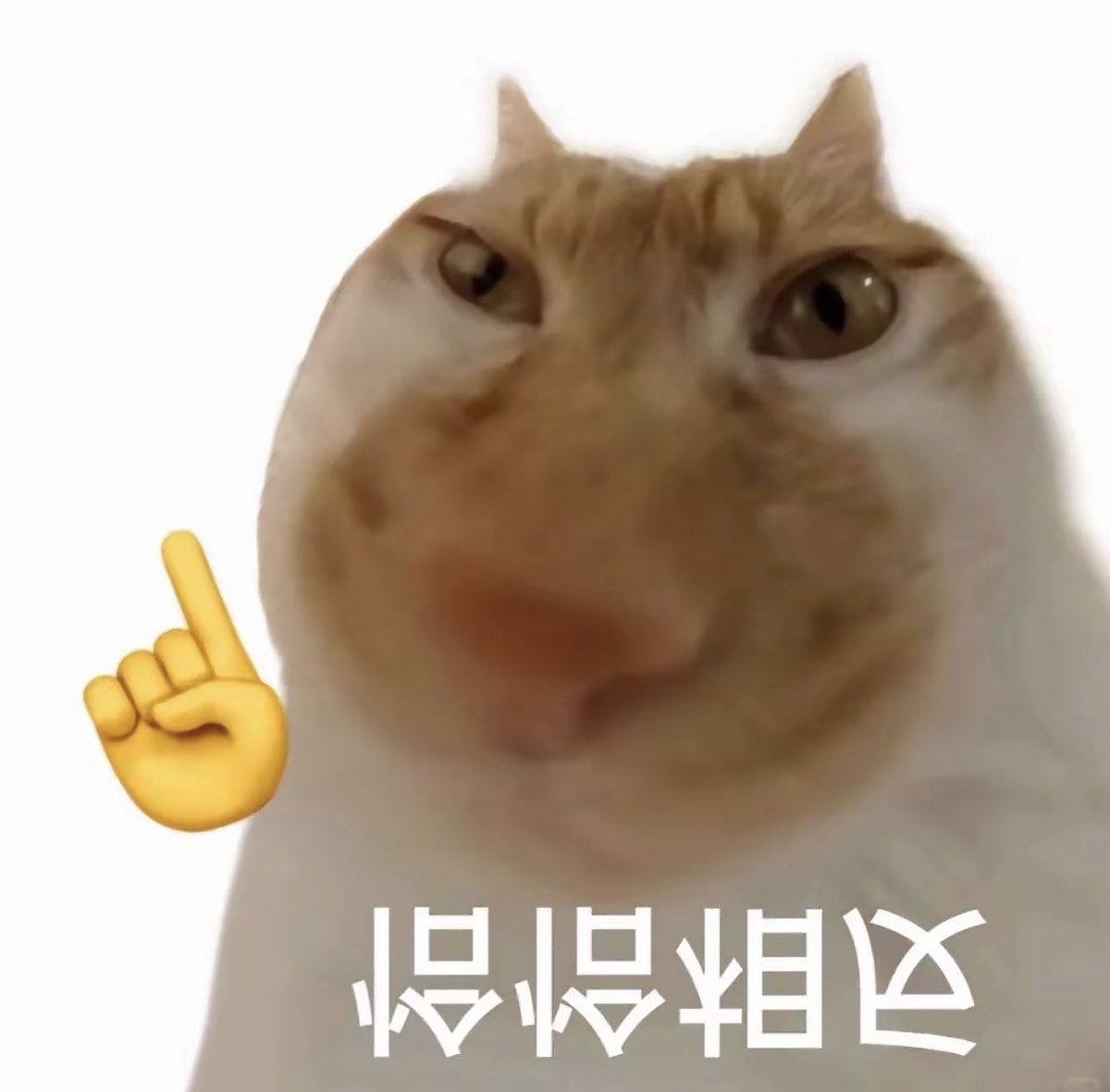 不开灯 tweet media