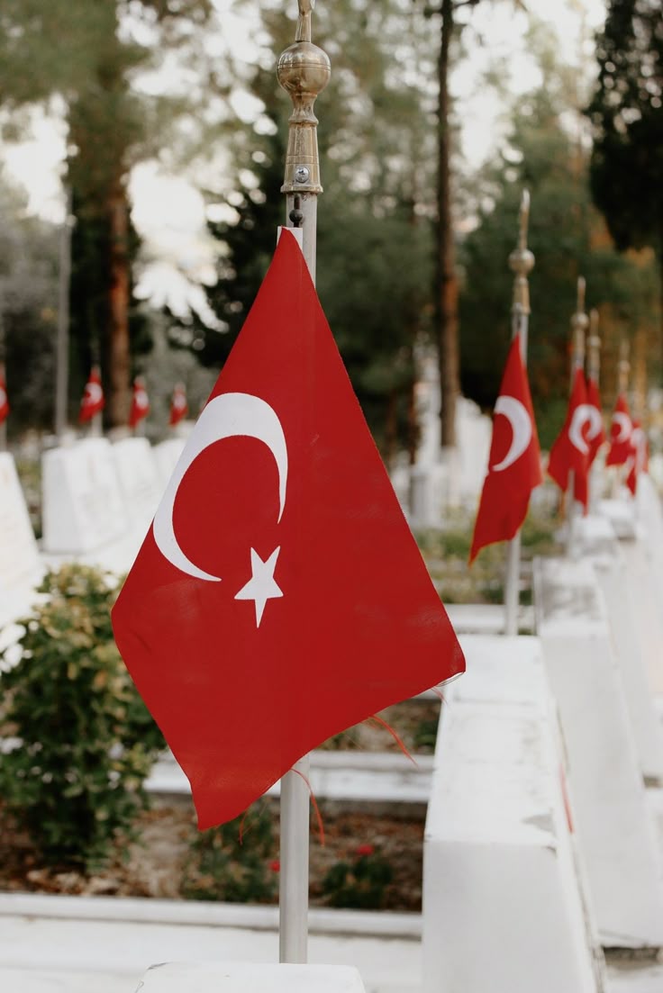 "Cihanda hangi fidan vardır ki yetişip saye salsın da âkıbeti hazana ermesin."